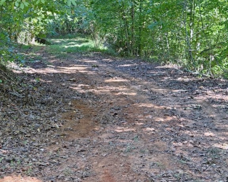 First Broad River, NC, Shelby, Cleveland Co., River, frontage, frontage, hardwoods, fields, fishing, kayaking, hunting, deer, turkey, retreat