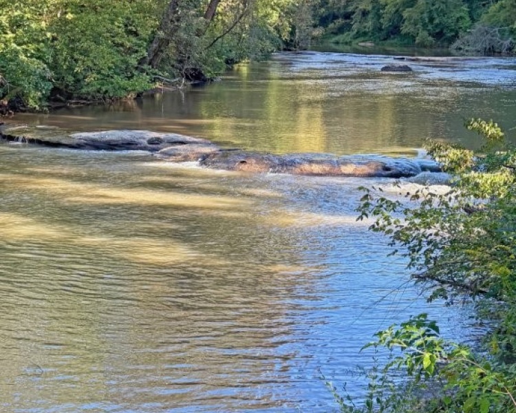 First Broad River frontage