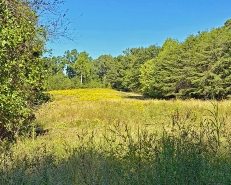 First Broad River, NC, Shelby, Cleveland Co., River, frontage, frontage, hardwoods, fields, fishing, kayaking, hunting, deer, turkey, retreat