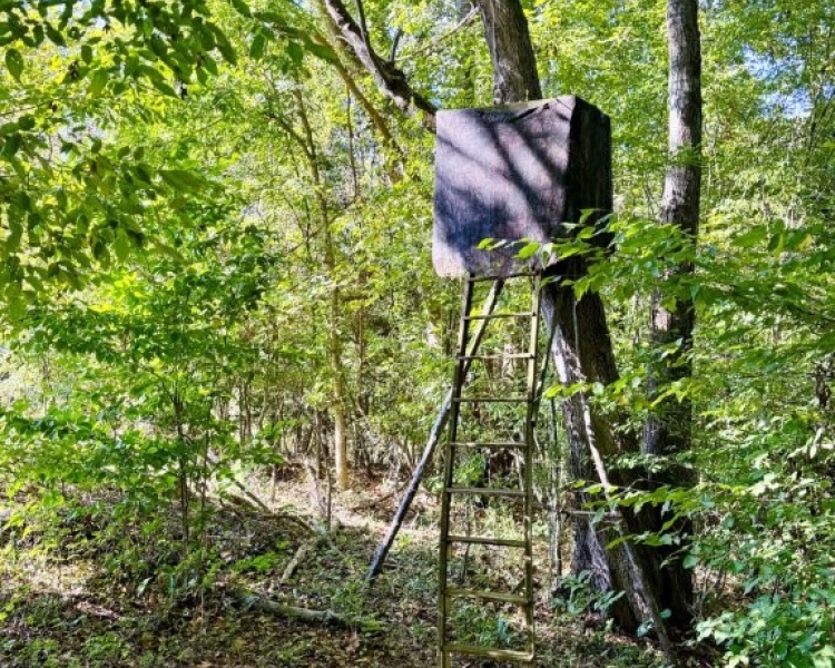 First Broad River, NC, Shelby, Cleveland Co., River, frontage, frontage, hardwoods, fields, fishing, kayaking, hunting, deer, turkey, retreat