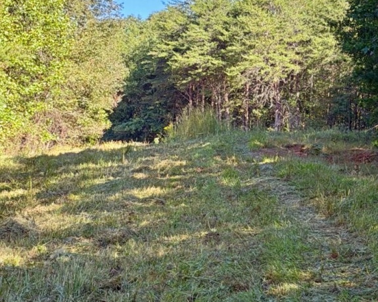 First Broad River, NC, Shelby, Cleveland Co., River, frontage, frontage, hardwoods, fields, fishing, kayaking, hunting, deer, turkey, retreat