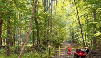 Georgia, Rockmart, Polk County, land, liquidation, pretty, timber, vacant, deer, turkeys, hunting, recreation, tranquil, legacy, woods, seclusion