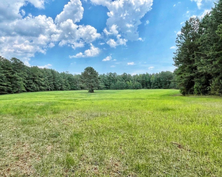 Monticello, Georgia, ,Land,Sold,434 Elijah Johnson Road,1021