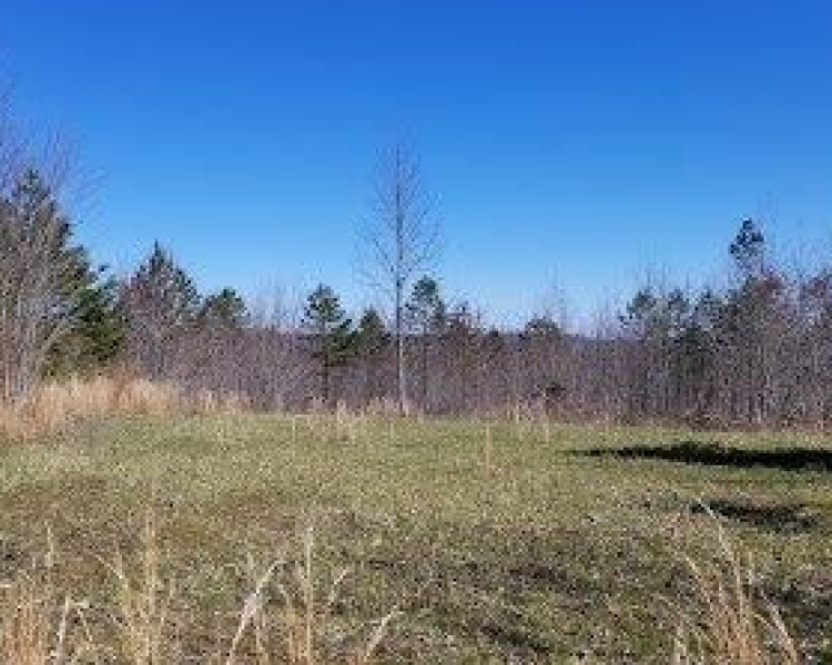 Soddy Daisy, Tennessee, ,Land,Sold,Soddy Bluff View,1033