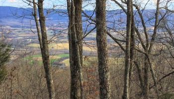Pikeville, Tennessee, ,Land,Sold,Simmons Road,1034