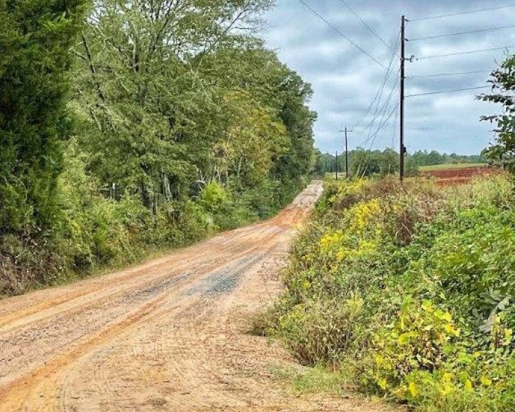 Ashburn, Georgia, ,Land,For Sale,1538 Quail Run Road,1050,agriculture, farm, irrigation, road frontage, timber, 1031 exchange