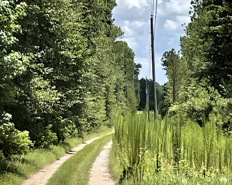 Ochlocknee, Georgia, ,Land,For Sale,GA Highway 202,1061