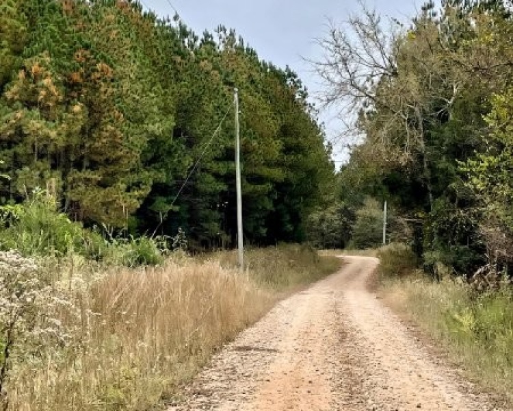 Elberton, Georgia, ,Land,For Sale,Jaudon Road,1064