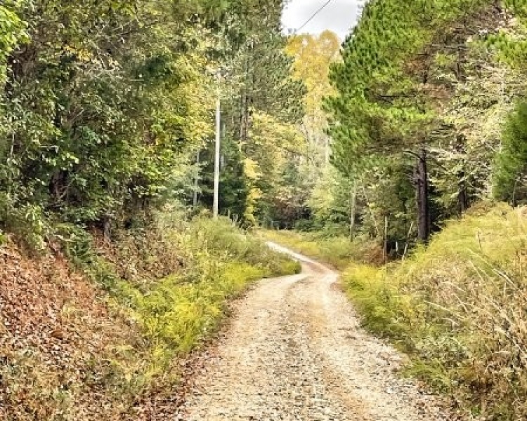 Elberton, Georgia, ,Land,For Sale,Jaudon Road,1064