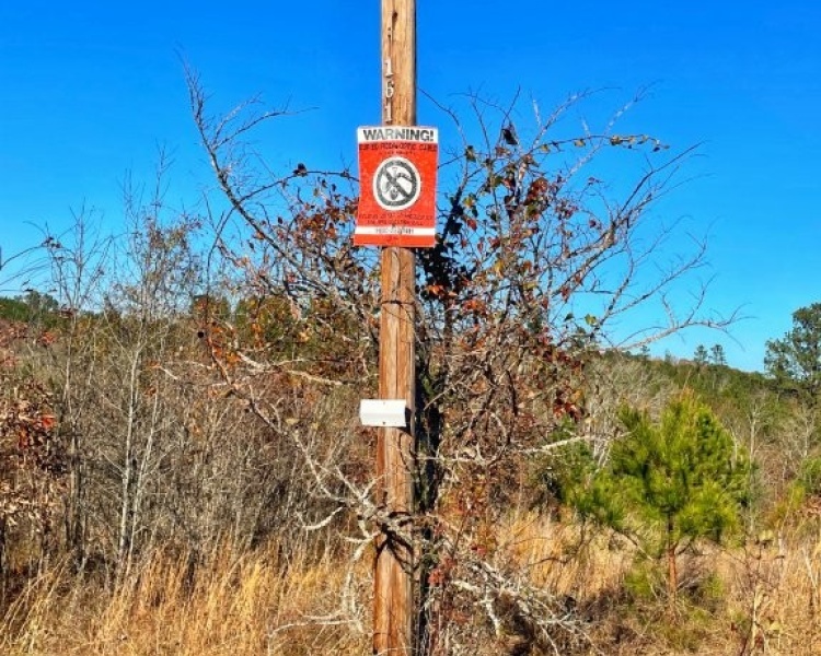 Monticello, Georgia,Land,Highway 83 S,1065