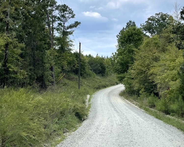 Monticello, Georgia, ,Land,For Sale,Highway 83 S,1065