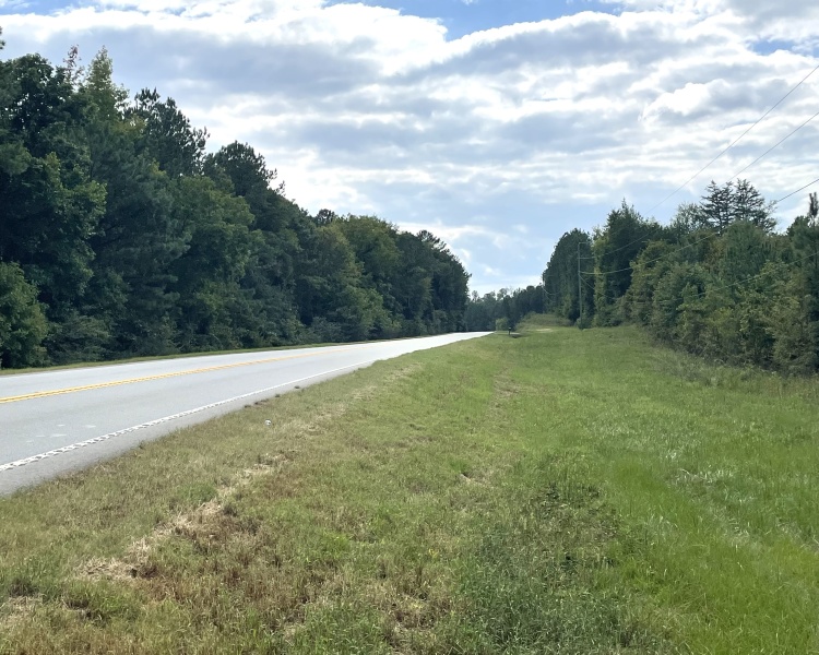 Monticello, Georgia, ,Land,For Sale,Highway 83 S,1065