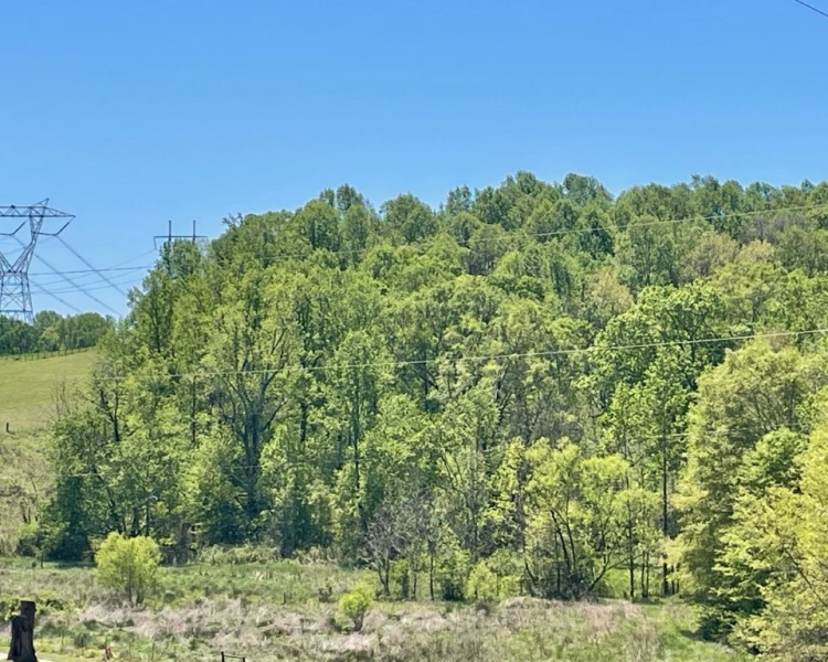 Hall County,estate,liquidation,Lula,wooded,acreage,creek,hardwoods,paved frontage,convenient