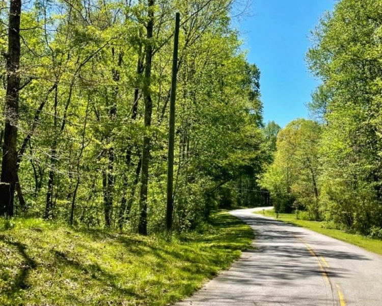 Hall County,estate,liquidation,Lula,wooded,acreage,creek,hardwoods,paved frontage,convenient
