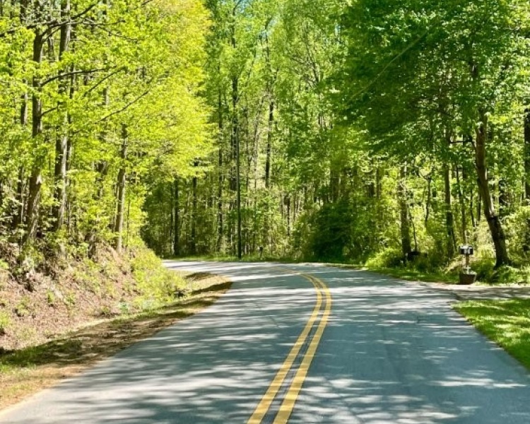 Hall County,estate,liquidation,Lula,wooded,acreage,creek,hardwoods,paved frontage,convenient