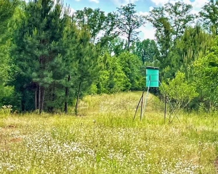 SumterCounty,Georgia,hunting,investment,wooded,frontage,affordable,paradise,hunting,deer,turkey