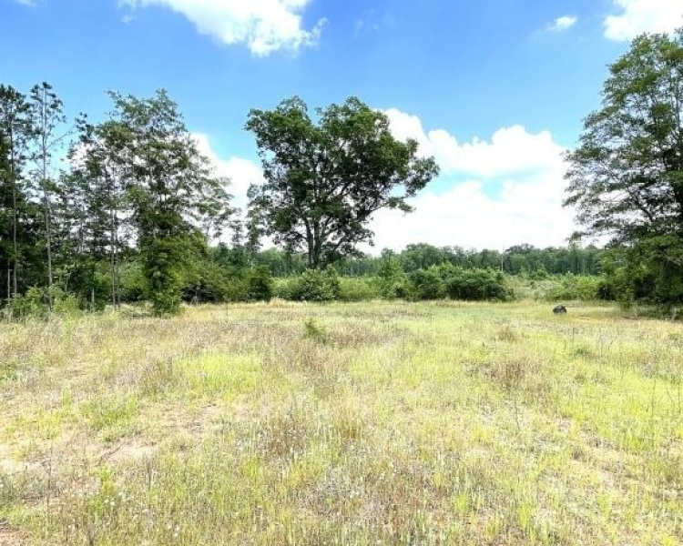 SumterCounty,Georgia,hunting,investment,wooded,frontage,affordable,paradise,hunting,deer,turkey