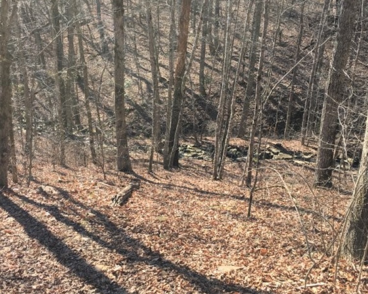 Sequatchie, Hamilton, Tennessee, creek, hunting, deer, turkey, ATV, hardwoods, conservation, easement, Chattanooga