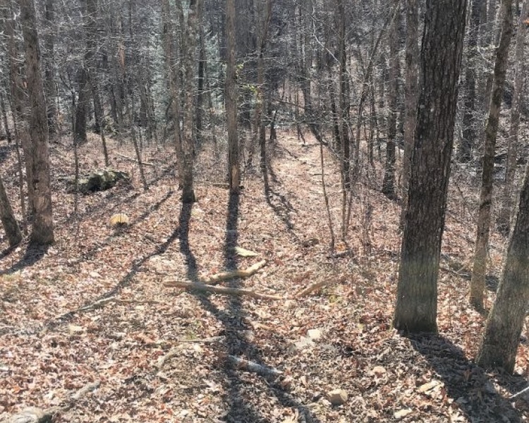 Sequatchie, Hamilton, Tennessee, creek, hunting, deer, turkey, ATV, hardwoods, conservation, easement, Chattanooga