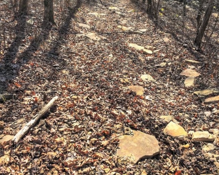 Sequatchie, Hamilton, Tennessee, creek, hunting, deer, turkey, ATV, hardwoods, conservation, easement, Chattanooga