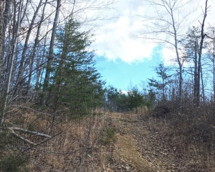 Sequatchie, Hamilton, Tennessee, creek, hunting, deer, turkey, ATV, hardwoods, conservation, easement, Chattanooga