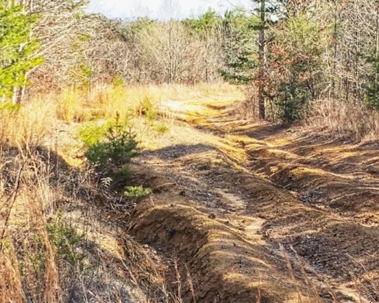 Sequatchie, Hamilton, Tennessee, creek, hunting, deer, turkey, ATV, hardwoods, conservation, easement, Chattanooga