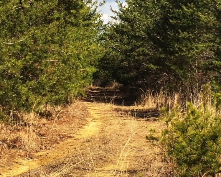 Sequatchie, Hamilton, Tennessee, creek, hunting, deer, turkey, ATV, hardwoods, conservation, easement, Chattanooga