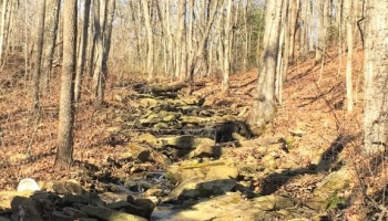 Sequatchie, Hamilton, Tennessee, creek, hunting, deer, turkey, ATV, hardwoods, conservation, easement, Chattanooga