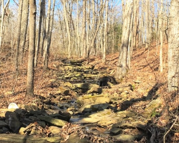 Sequatchie, Hamilton, Tennessee, creek, hunting, deer, turkey, ATV, hardwoods, conservation, easement, Chattanooga