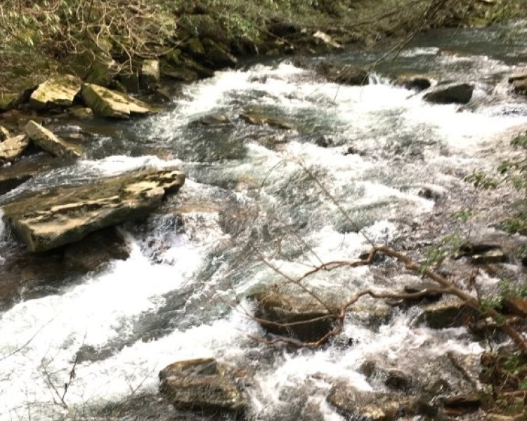 Sequatchie, Hamilton, Tennessee, creek, hunting, deer, turkey, ATV, hardwoods, conservation, easement, Chattanooga