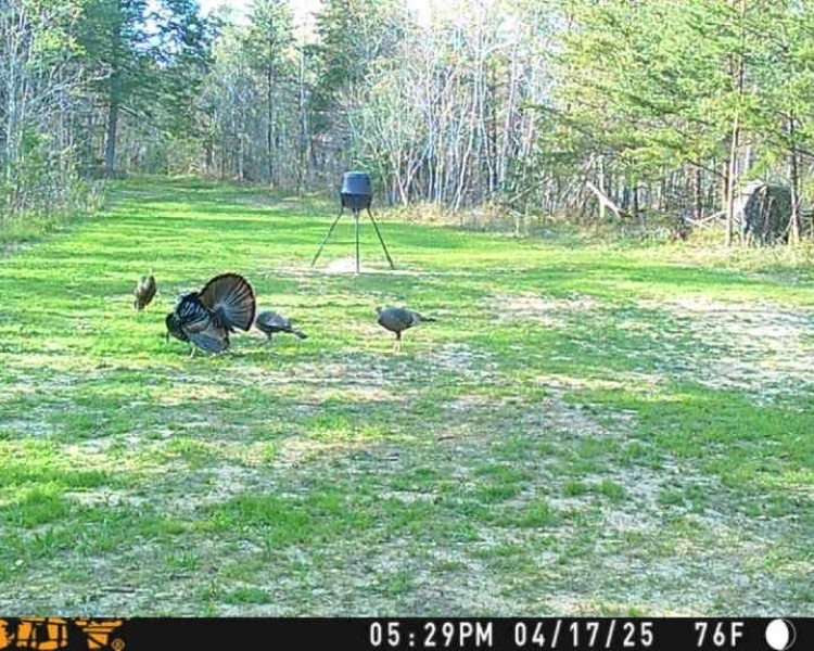 Sequatchie, Hamilton, Tennessee, creek, hunting, deer, turkey, ATV, hardwoods, conservation, easement, Chattanooga