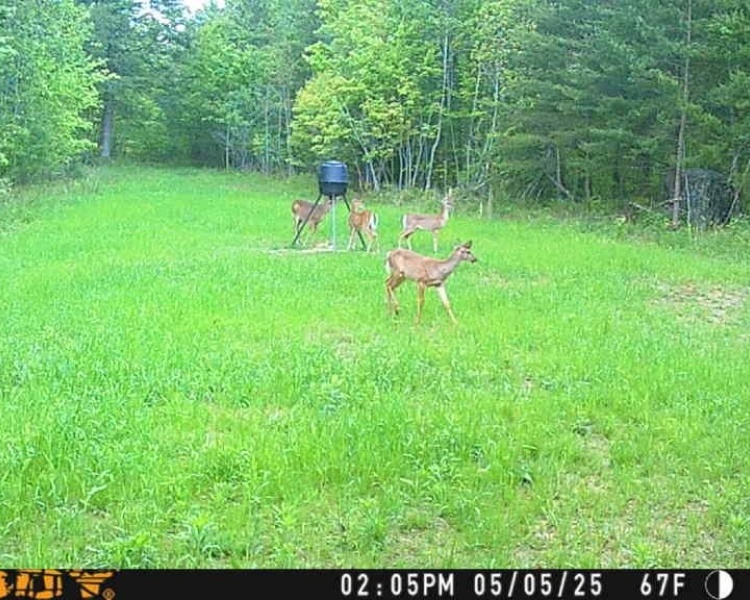 Sequatchie, Hamilton, Tennessee, creek, hunting, deer, turkey, ATV, hardwoods, conservation, easement, Chattanooga