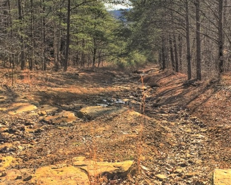Sequatchie, Hamilton, Tennessee, creek, hunting, deer, turkey, ATV, hardwoods, conservation, easement, Chattanooga