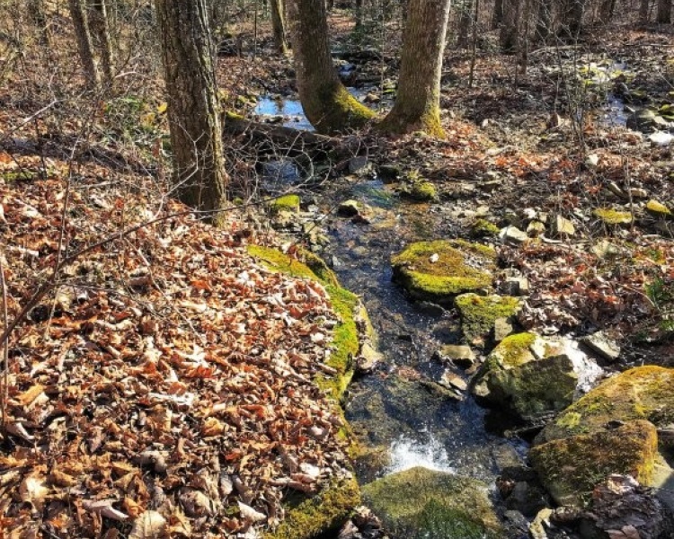 Sequatchie, Hamilton, Tennessee, creek, hunting, deer, turkey, ATV, hardwoods, conservation, easement, Chattanooga