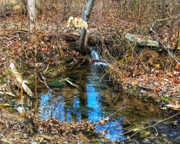 Sequatchie, Hamilton, Tennessee, creek, hunting, deer, turkey, ATV, hardwoods, conservation, easement, Chattanooga