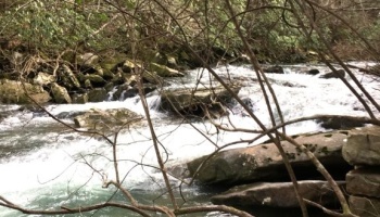 Sequatchie, Tennessee, hunting, access, deer, turkey, Soddy Creek, conservation, easement, Chattanooga