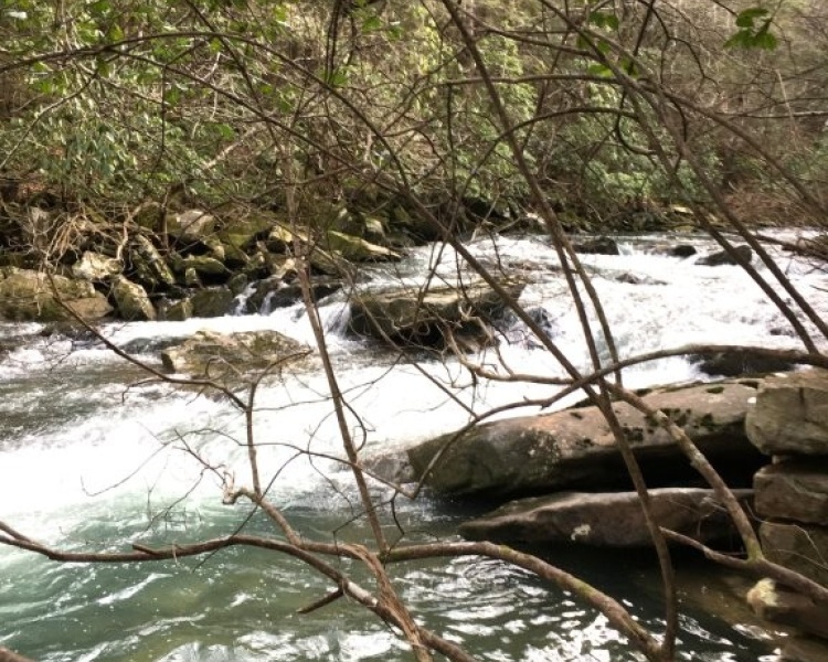 Sequatchie, Tennessee, hunting, access, deer, turkey, Soddy Creek, conservation, easement, Chattanooga