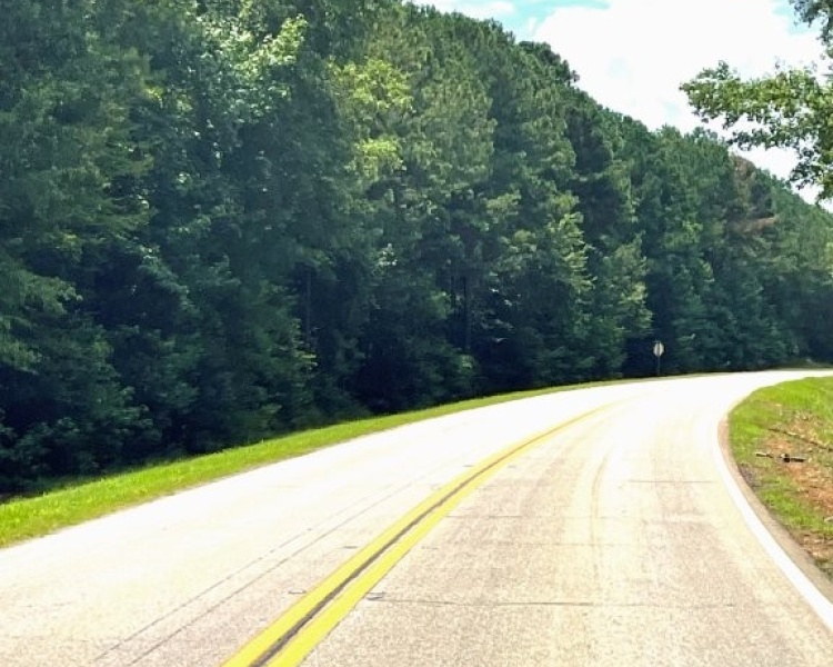 Taliaferro, estate, liquidation, timber, mature, pines, hardwoods, frontage, hunting, deer, turkey, convenient, rare
