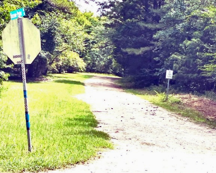 Taliaferro, estate, liquidation, beautiful, untouched, timberland, frontage, hunting, investment, deer, turkey, loaded, convenient, Georgia, Madison, Augusta, rare