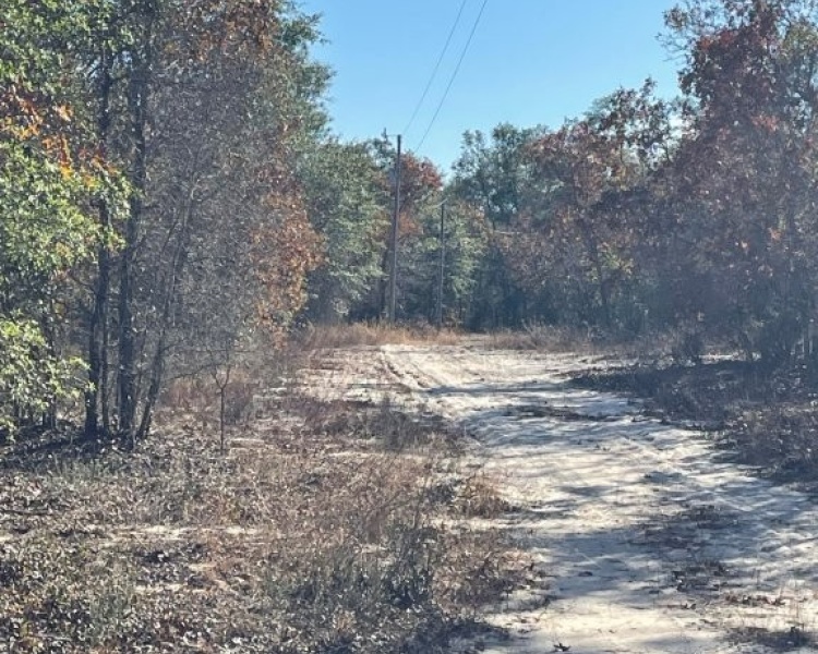 Emanuel,hunting,investment,wooded,power,paved,frontage,division,farms,river,bargain