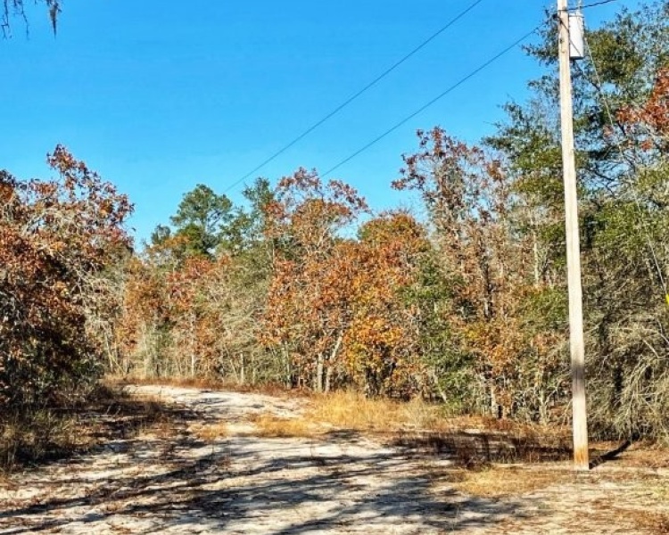 Emanuel,hunting,investment,wooded,power,paved,frontage,division,farms,river,bargain