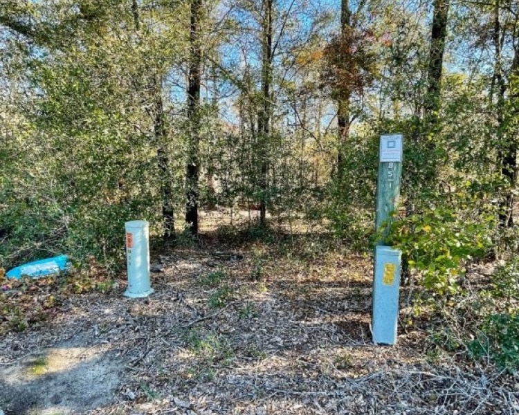 Emanuel,hunting,investment,wooded,power,paved,frontage,division,farms,river,bargain
