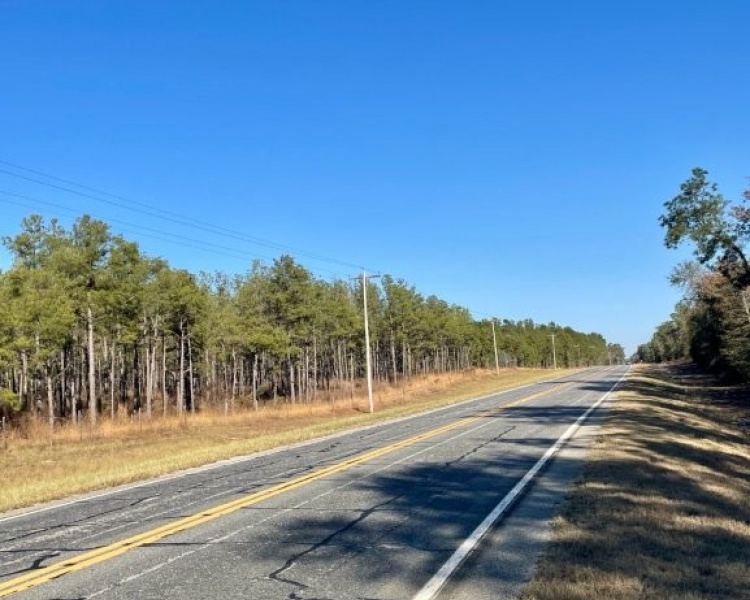 Emanuel,hunting,investment,wooded,power,paved,frontage,division,farms,river,bargain