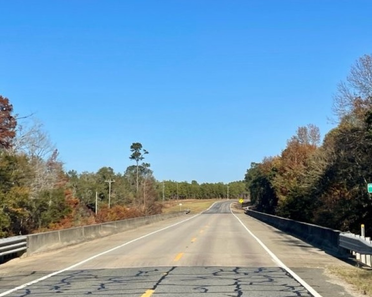 Emanuel,hunting,investment,wooded,power,paved,frontage,division,farms,river,bargain