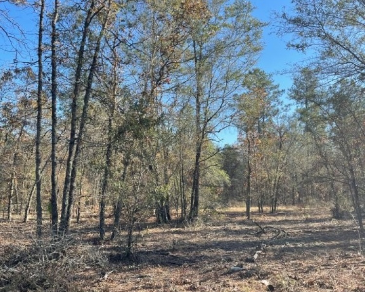 Emanuel,hunting,investment,wooded,power,paved,frontage,division,farms,river,bargain