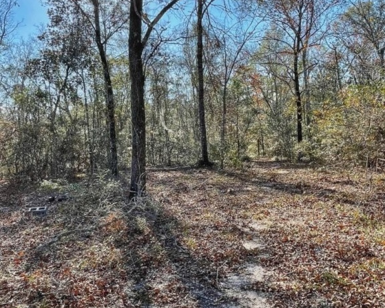 Emanuel,hunting,investment,wooded,power,paved,frontage,division,farms,river,bargain