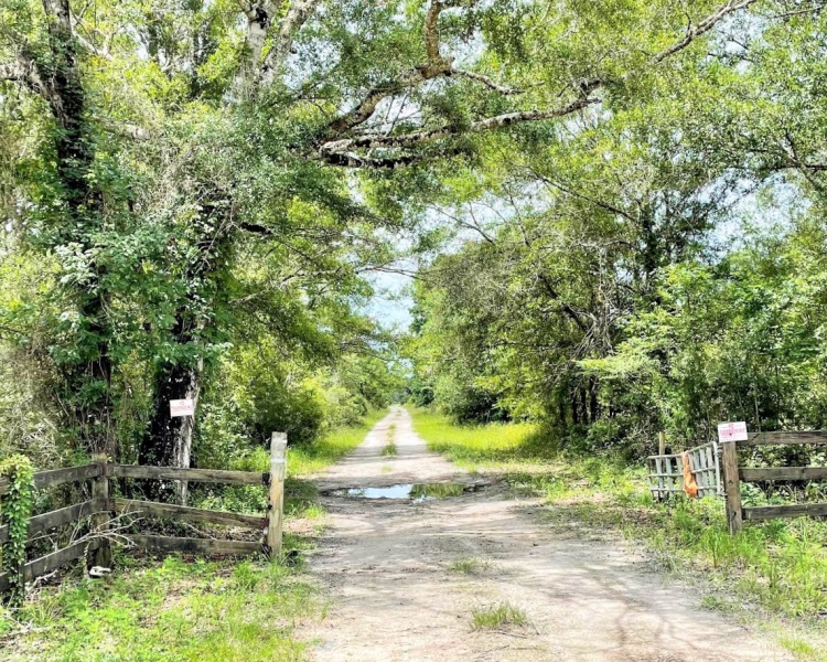 Taylor, Perry, FL, Florida, hunting, tract, private, wooded, deer, hogs, perfect, affordable, acreage, retreat