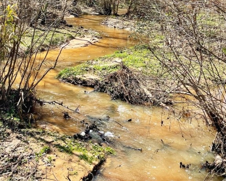 Lamar Co., GA, Barnesville, Estate, pines, hardwoods, creek, wildlife, family, frontage
