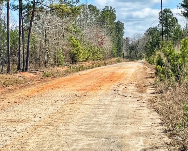 Lamar Co., GA, Barnesville, Estate, pines, hardwoods, creek, wildlife, family, frontage
