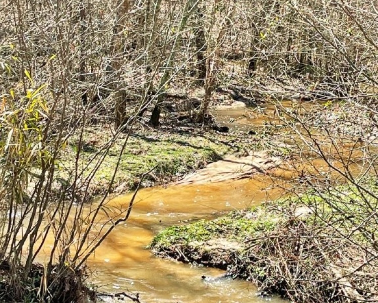 Lamar Co., GA, Barnesville, Prairie Creek, land, estate, pines, hardwoods, frontage, wildlife
